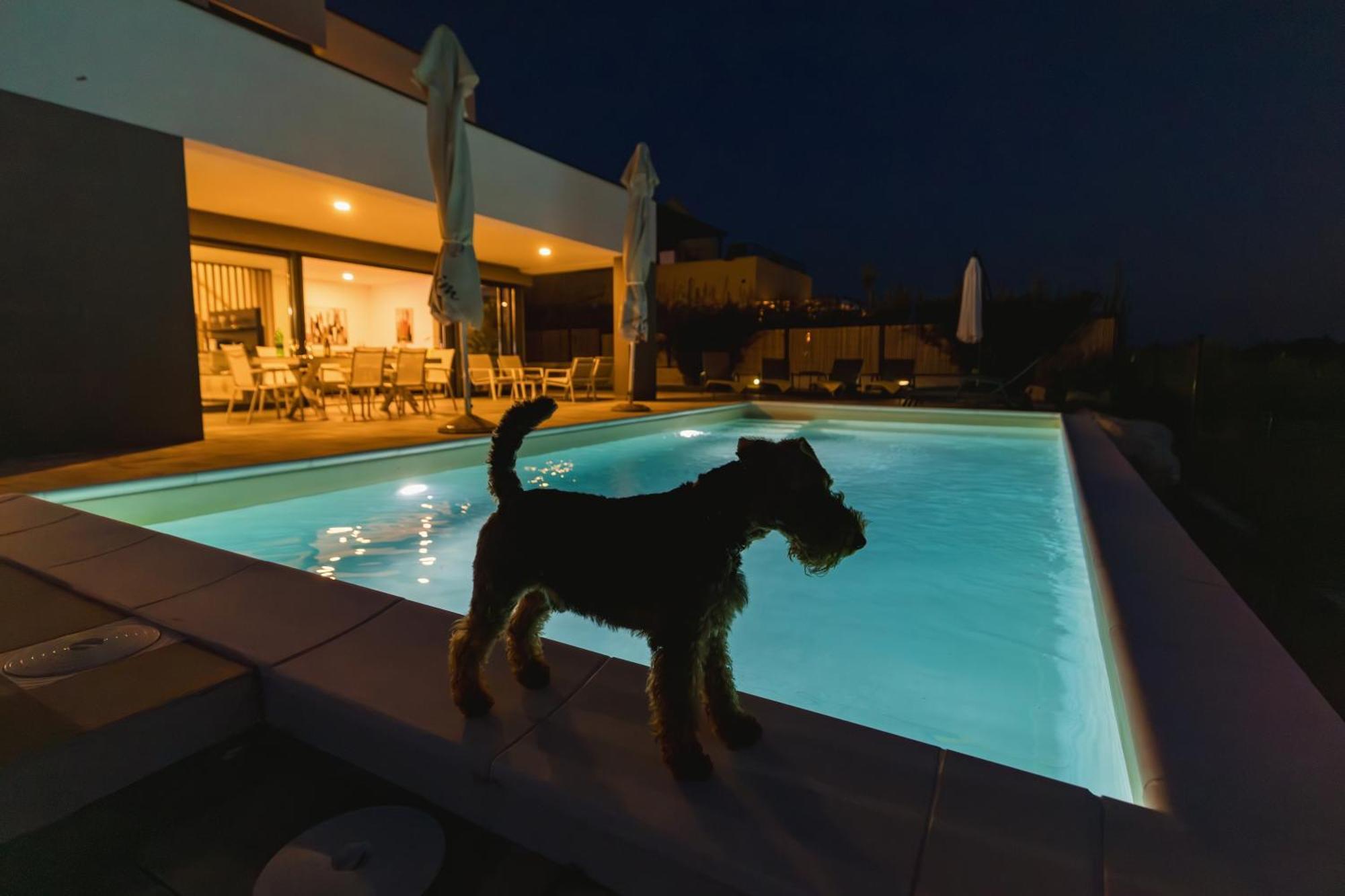Villa Boiky - Private Pool And Amazing Sea View, Istria Materada Екстер'єр фото